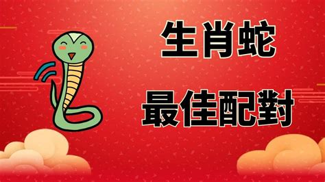 蛇 數字|生肖屬」蛇」與屬「馬」開啟幸運之門的數字能量密碼「2738。